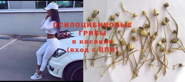 спиды Красноперекопск