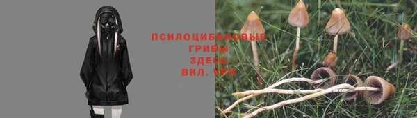 спиды Красноперекопск