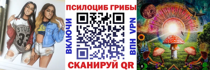 Галлюциногенные грибы Psilocybe Малгобек