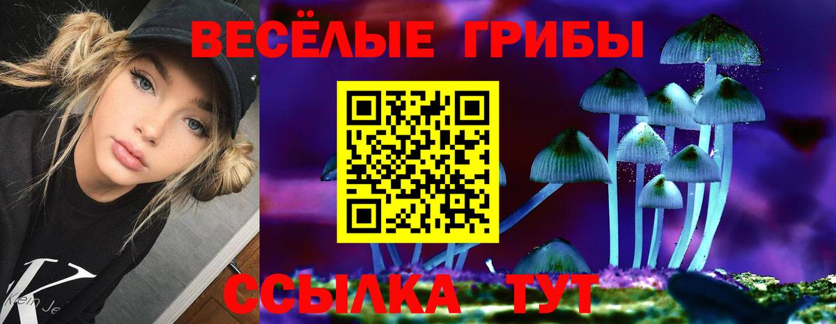 Alpha PVP Малгобек