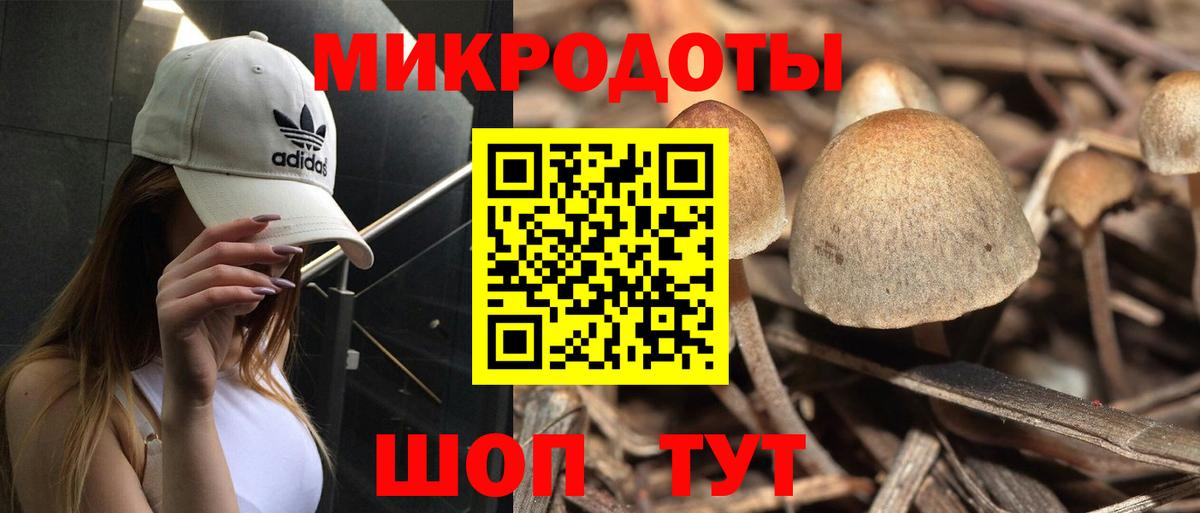 купить  цена  Вход с VPN  Малгобек  Псилоцибиновые грибы Magic Shrooms 